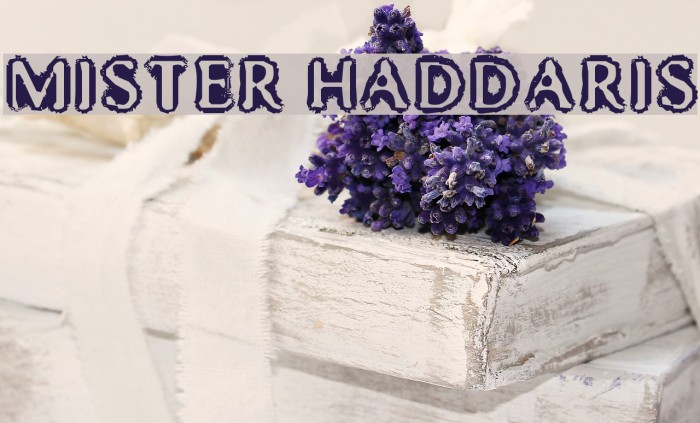 Mister Haddaris Font examples