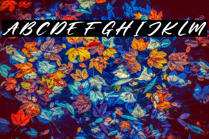 Mister Jacky Personal Use Example 1