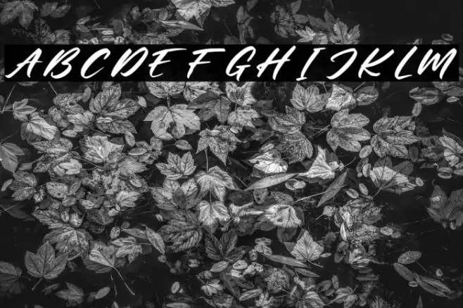 Mister Jacky Personal Use Font examples