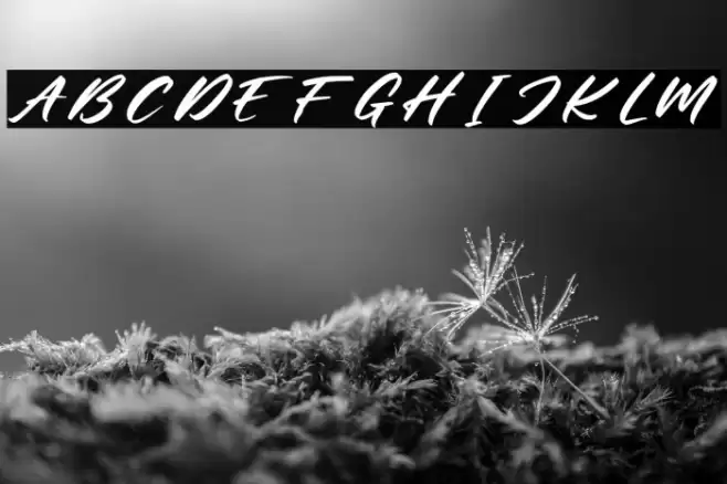 Mister Jacky Personal Use Font examples