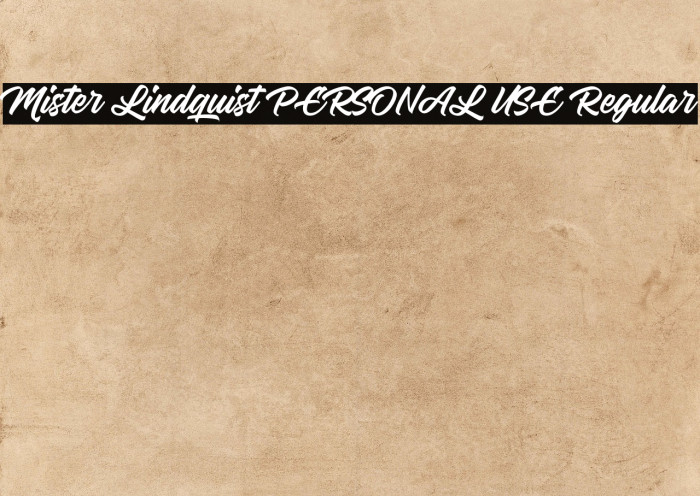 Mister Lindquist PERSONAL USE Regular Example 3