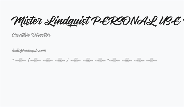 Mister Lindquist PERSONAL USE Regular Business Card