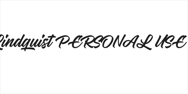 Mister Lindquist PERSONAL USE Regular Logo