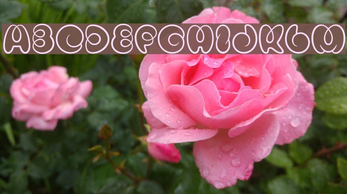 Mister Loopy Regular Font examples