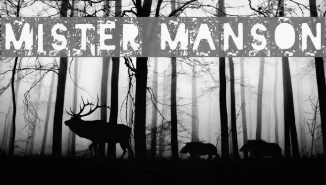 Mister Manson Font examples