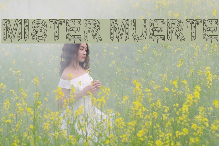 Mister Muerte Font examples
