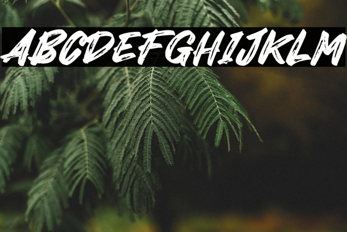 Mister October Example 1