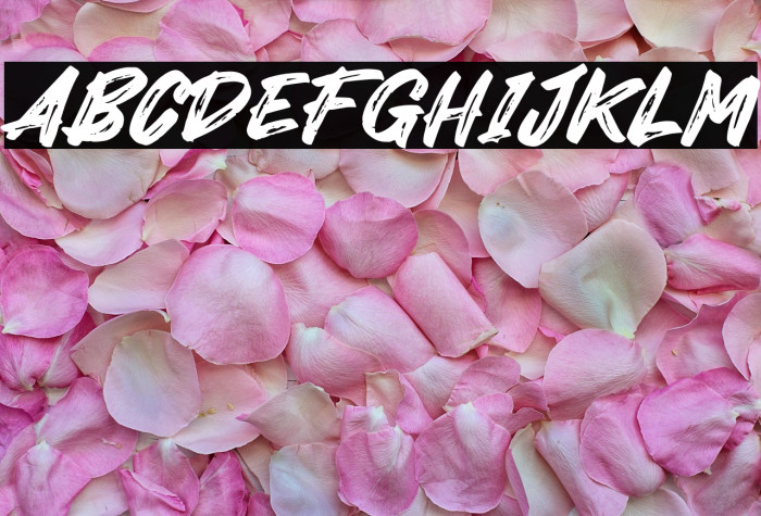 Mister October Example 3