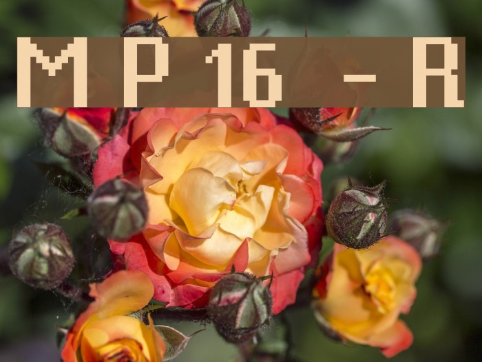 Mister Pixel 16 pt - Regular Font examples