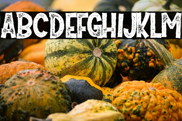 Mister Pumpkins Aged Example 2