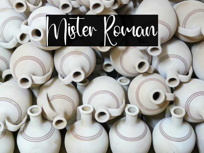 Mister Roman Example 1