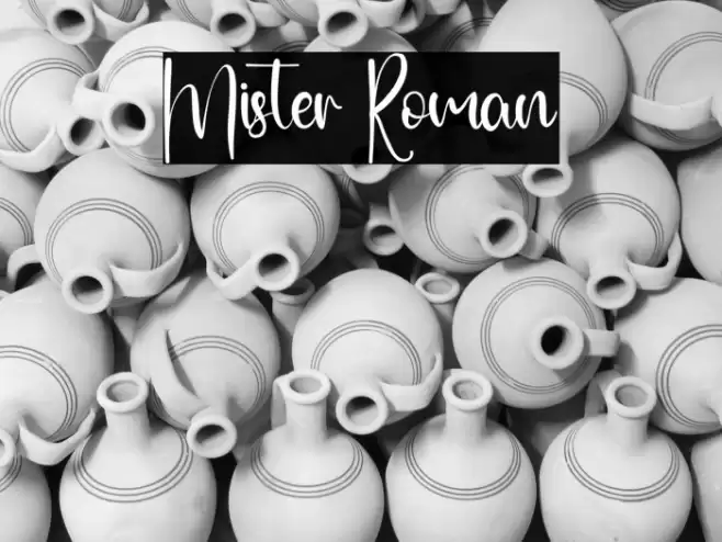 Mister Roman Font examples