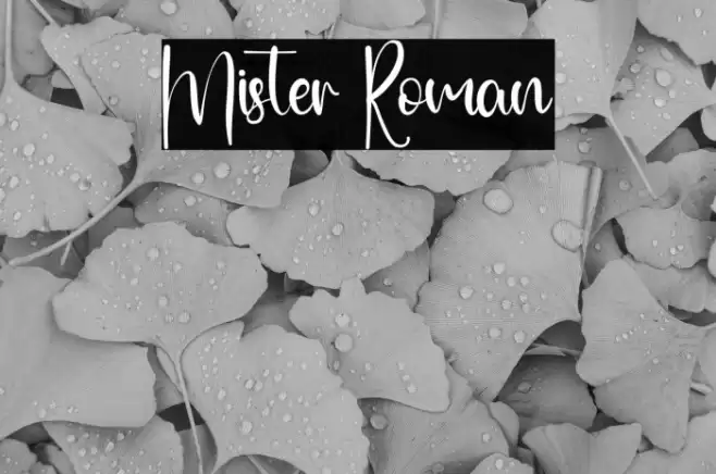 Mister Roman Font examples
