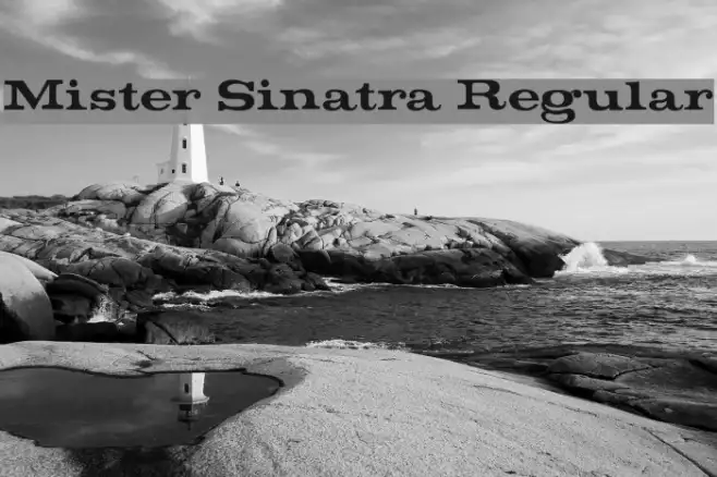 Mister Sinatra Regular Example 1