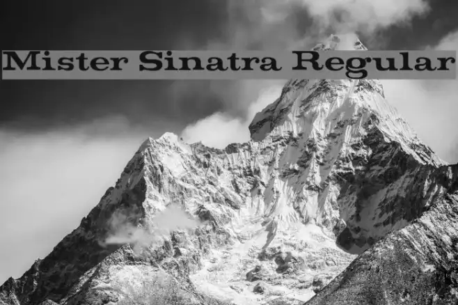 Mister Sinatra Regular Example 2