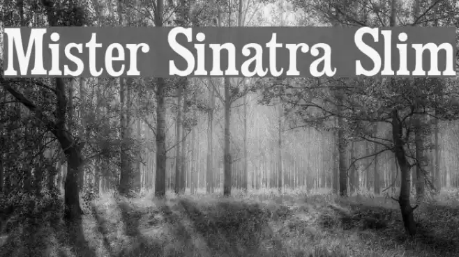 Mister Sinatra Slim Font examples