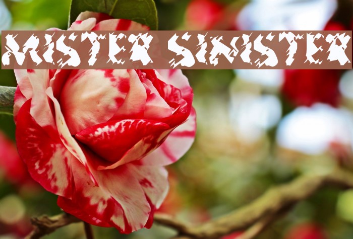 Mister Sinister Font examples