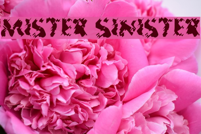 Mister Sinister Font examples