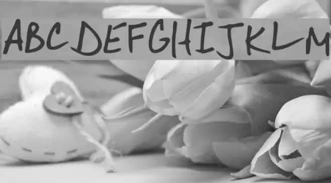 Mister Spicy Dos Font examples