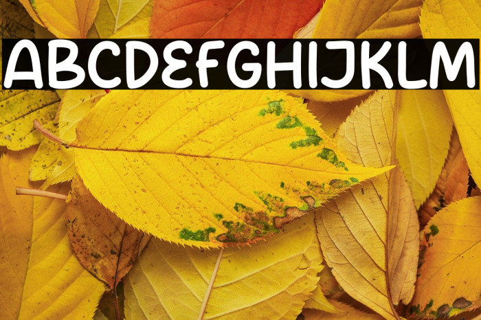 Mister Stars Example 1