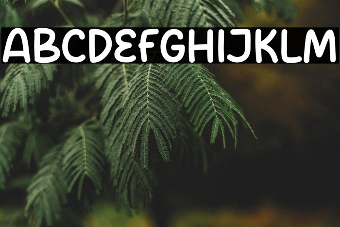 Mister Stars Example 2