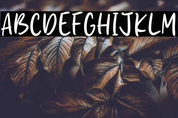 Mister Summer Example 1