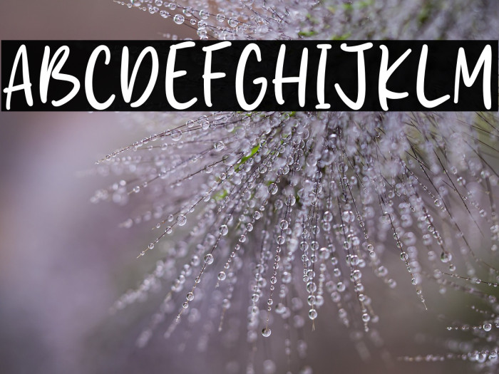 Mister Summer Example 3