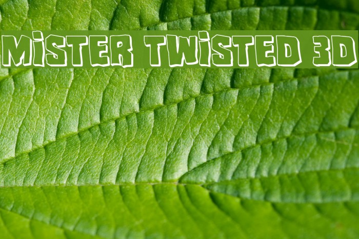 Mister Twisted 3D Font examples