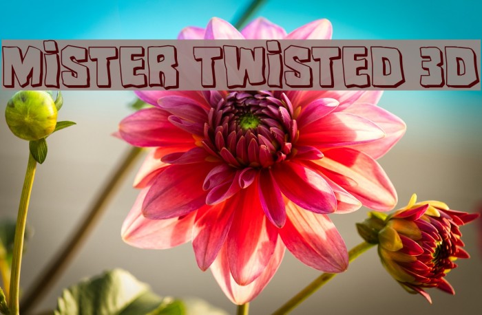Mister Twisted 3D Font examples