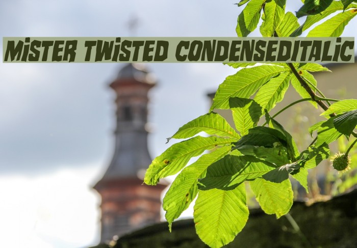 Mister Twisted CondensedItalic Font examples