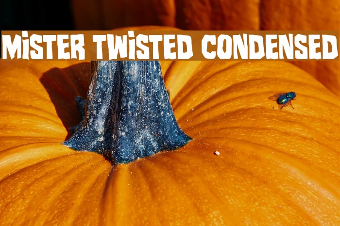 Mister Twisted Condensed Font examples