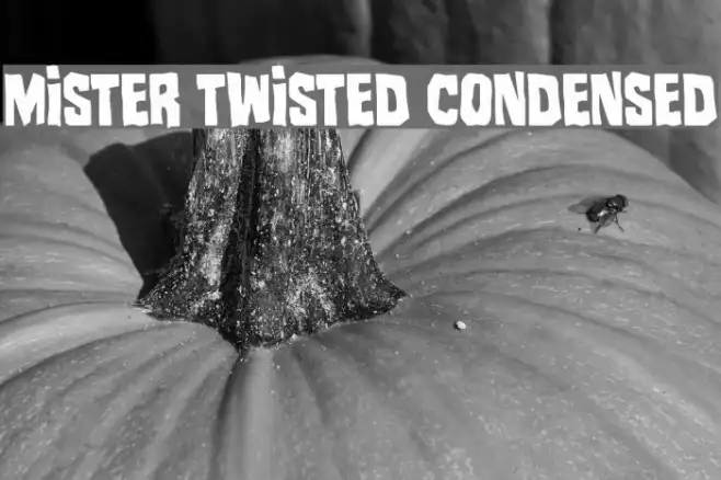 Mister Twisted Condensed Example 2