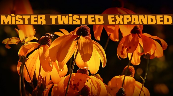 Mister Twisted Expanded Font examples