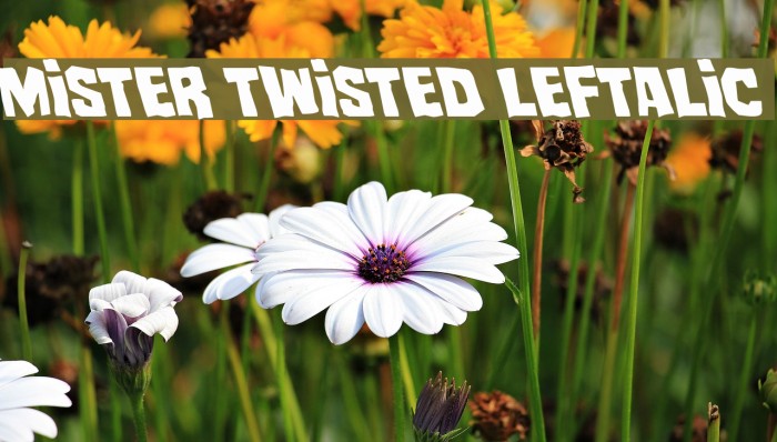 Mister Twisted Leftalic Example 1