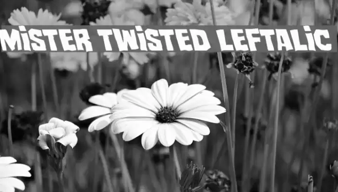 Mister Twisted Leftalic Font examples