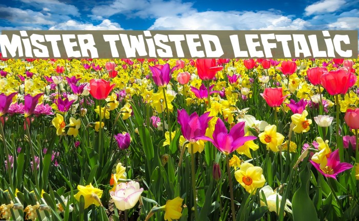 Mister Twisted Leftalic Example 2