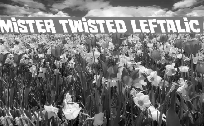 Mister Twisted Leftalic Font examples
