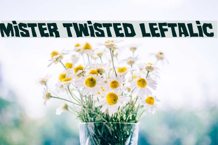 Mister Twisted Leftalic Example 3