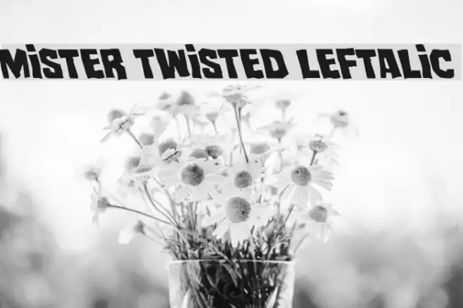 Mister Twisted Leftalic Font examples