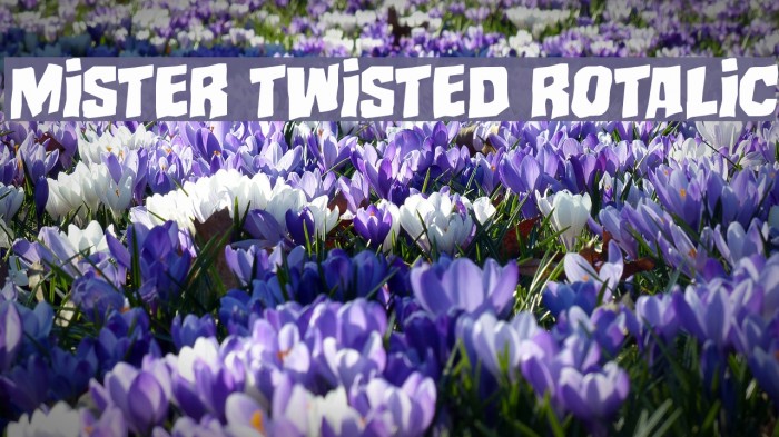 Mister Twisted Rotalic Example 2