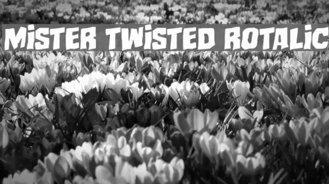 Mister Twisted Rotalic Font examples