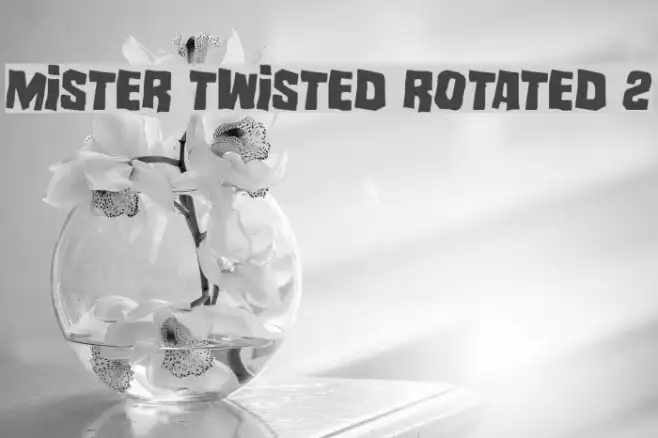 Mister Twisted Rotated 2 Example 2