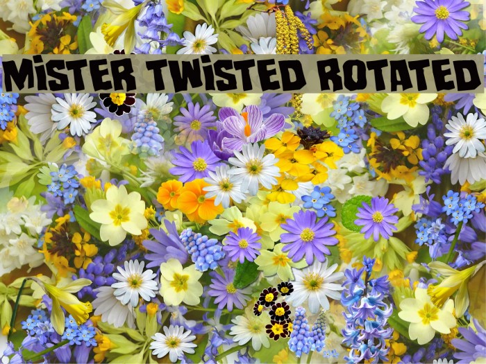 Mister Twisted Rotated Example 1