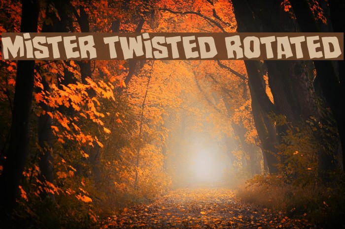Mister Twisted Rotated Example 3