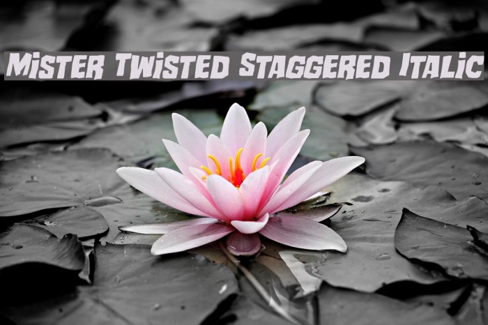 Mister Twisted Staggered Italic Font examples
