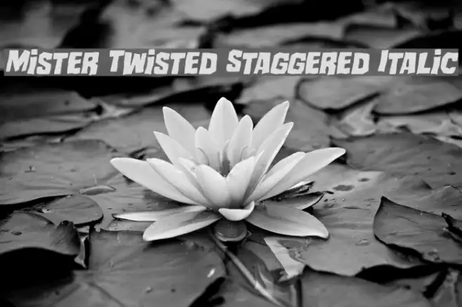 Mister Twisted Staggered Italic Example 1