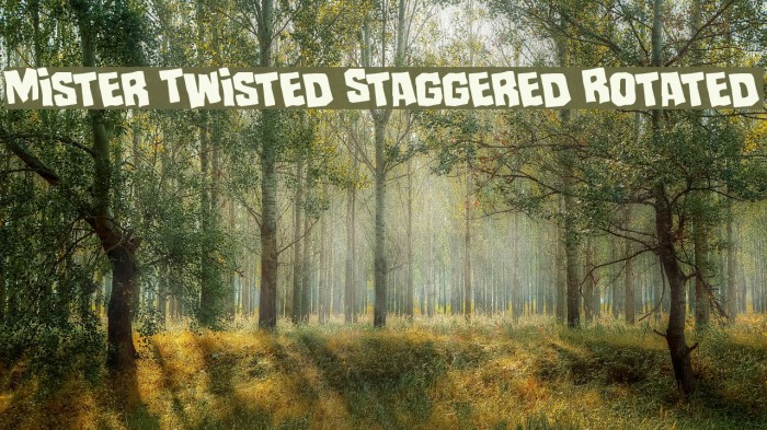 Mister Twisted Staggered Rotated Example 3