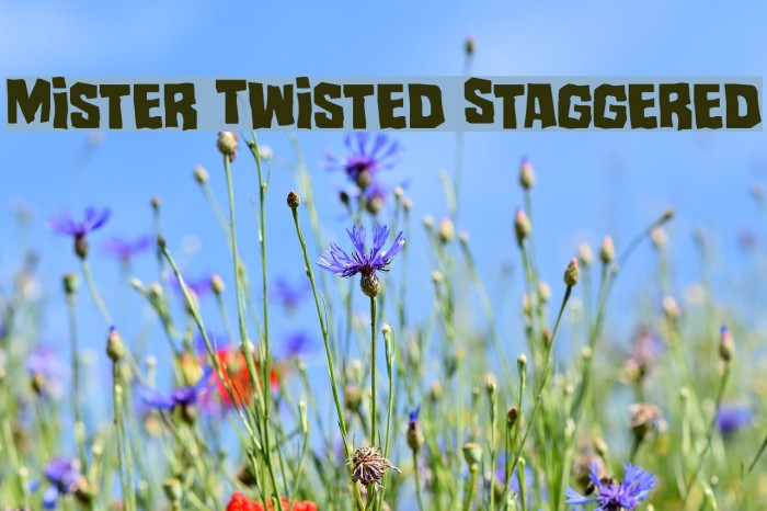Mister Twisted Staggered Font examples