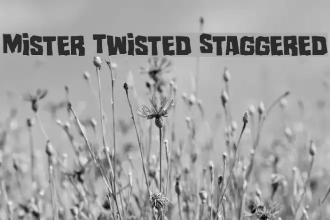 Mister Twisted Staggered Example 2