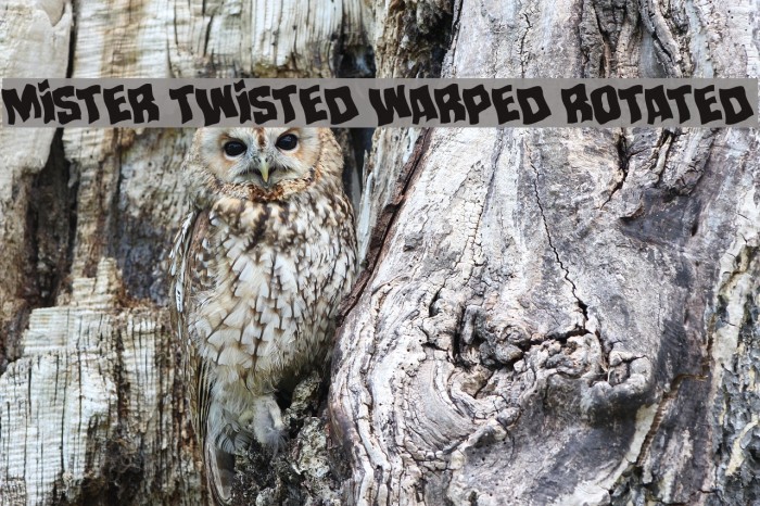 Mister Twisted Warped Rotated Example 3